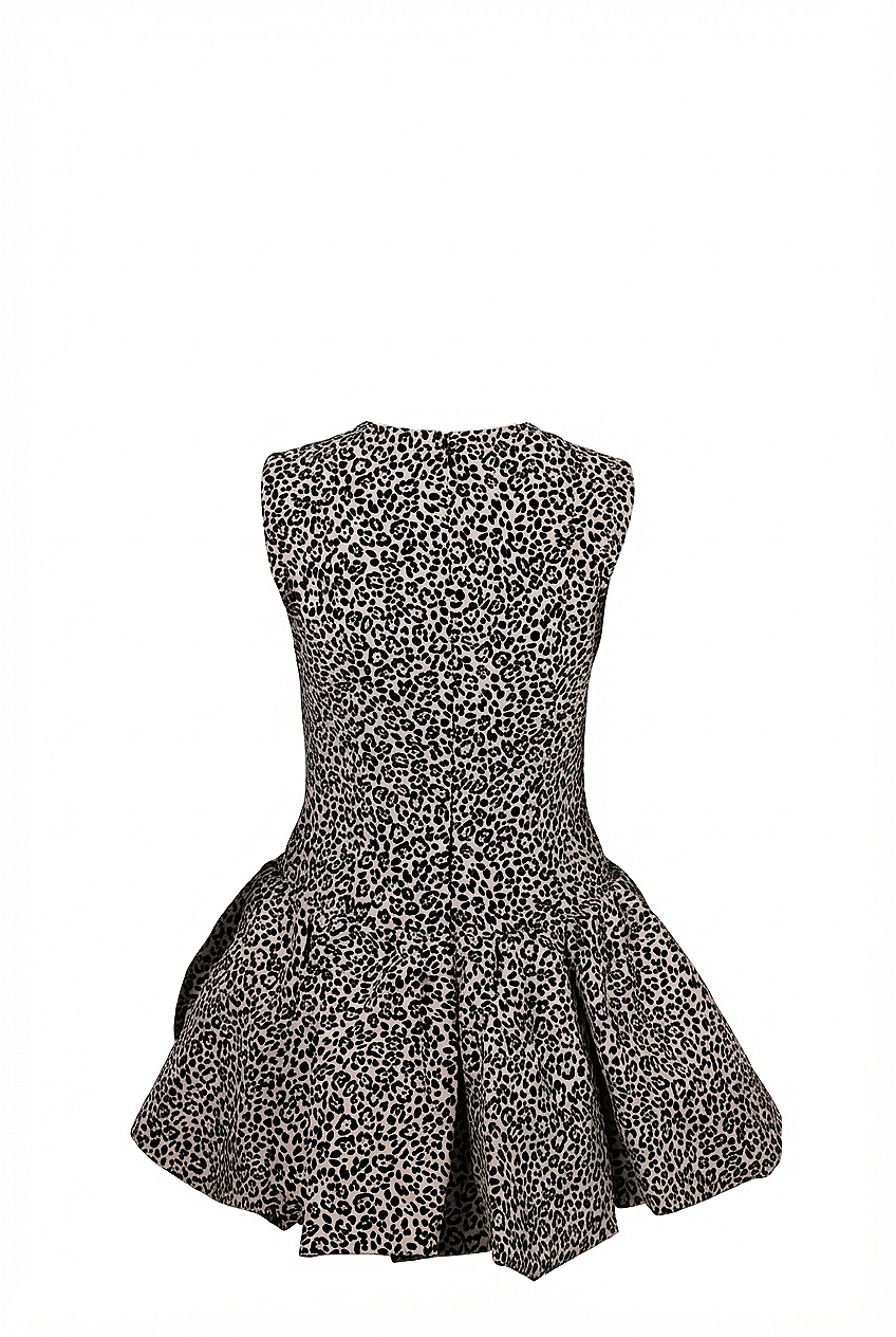 Valentino Dress