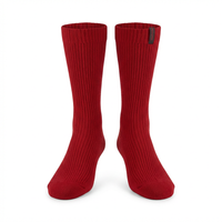 Valentino Socks