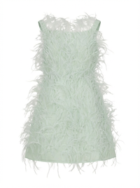 Valentino Dress