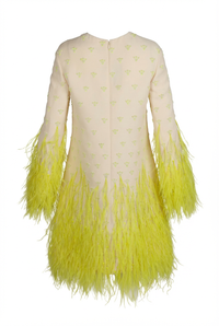 Valentino Dress
