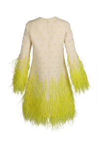 Valentino Dress