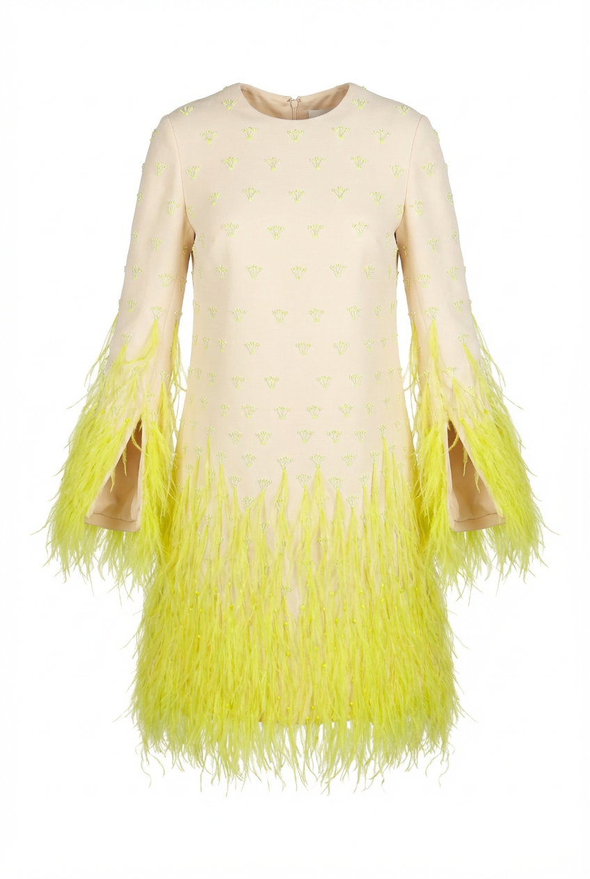 Valentino Dress