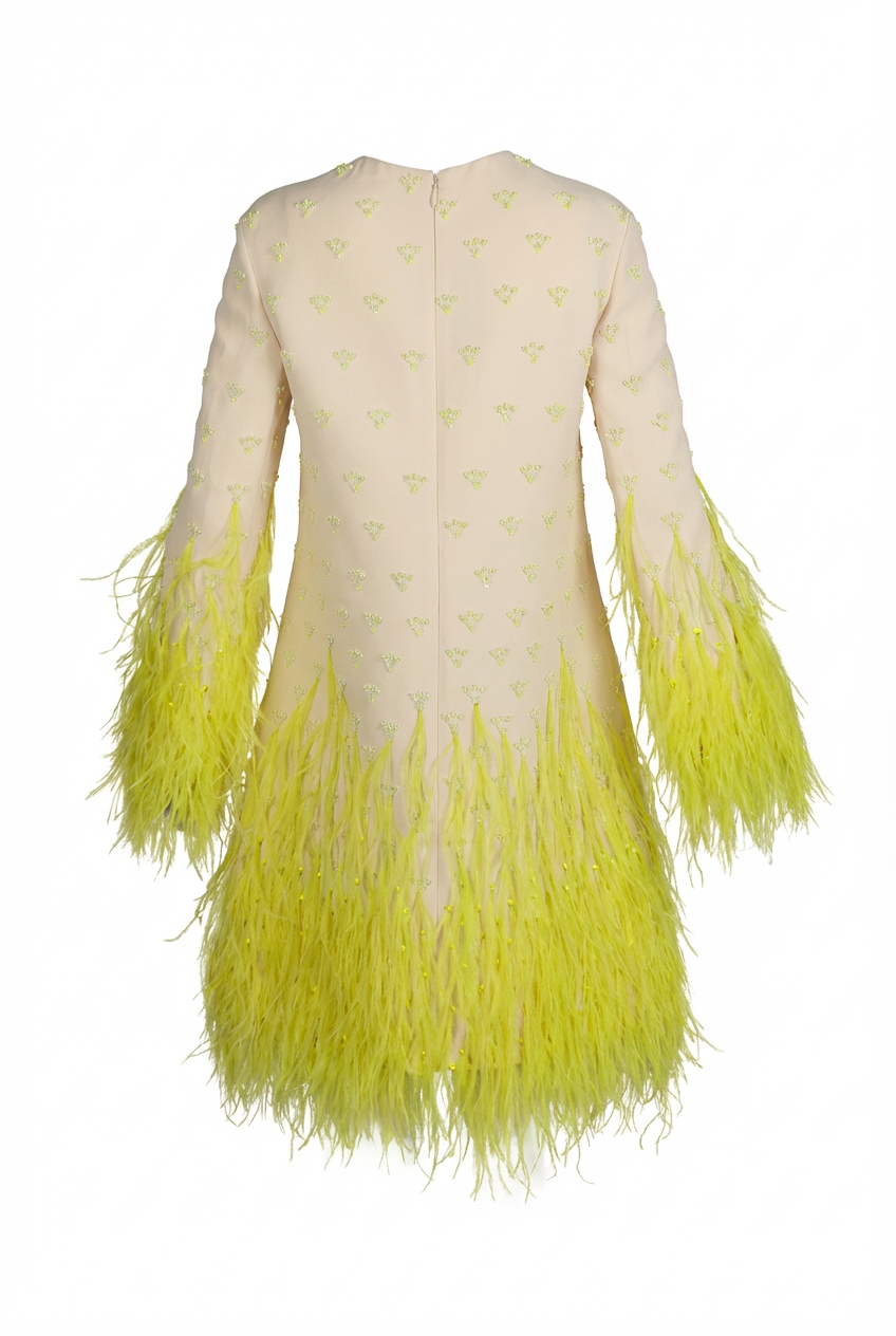Valentino Dress