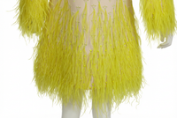 Valentino Dress