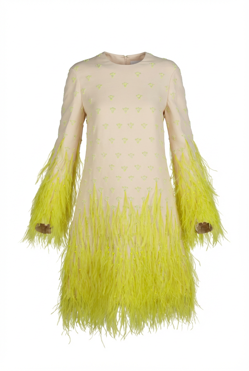 Valentino Dress