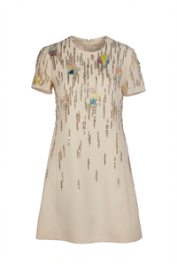 Valentino Dress