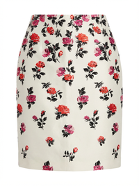 Valentino Skirt
