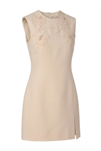 Valentino Dress