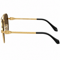 VE 2283 10027I 61mm Unisex Pilot Sunglasses