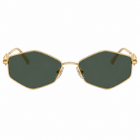 Jimmy Choo JC 4017 302371 55mm Womens Oval Sunglasses