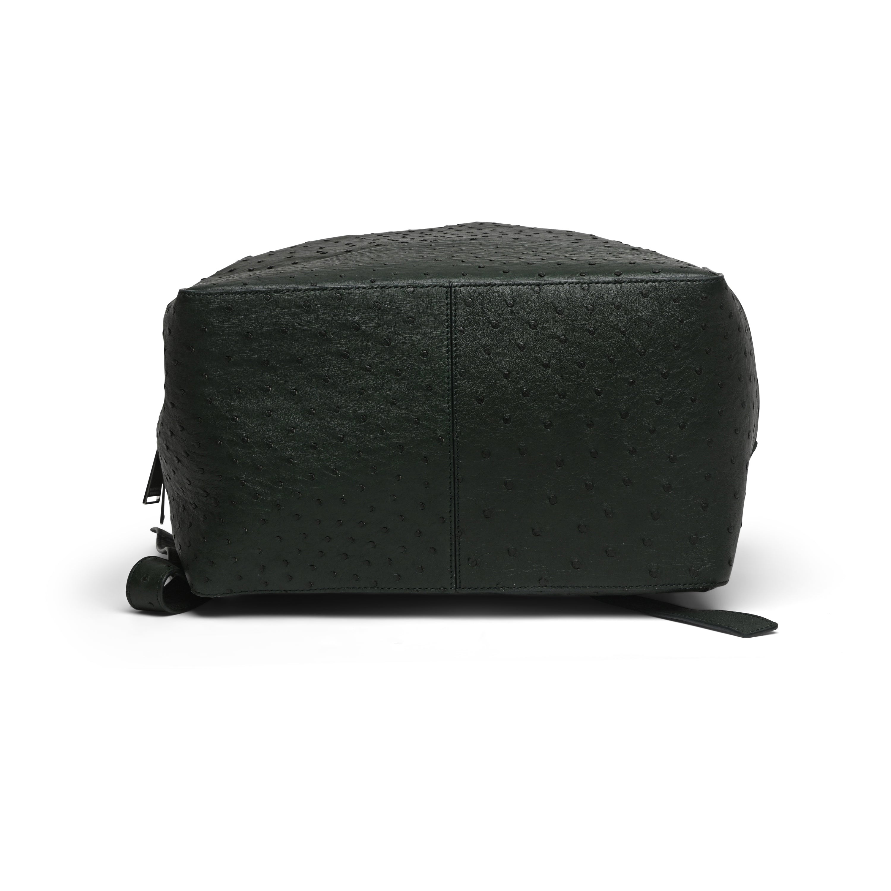 Bottega Veneta Bottega Veneta Ostrich Leather Backpack