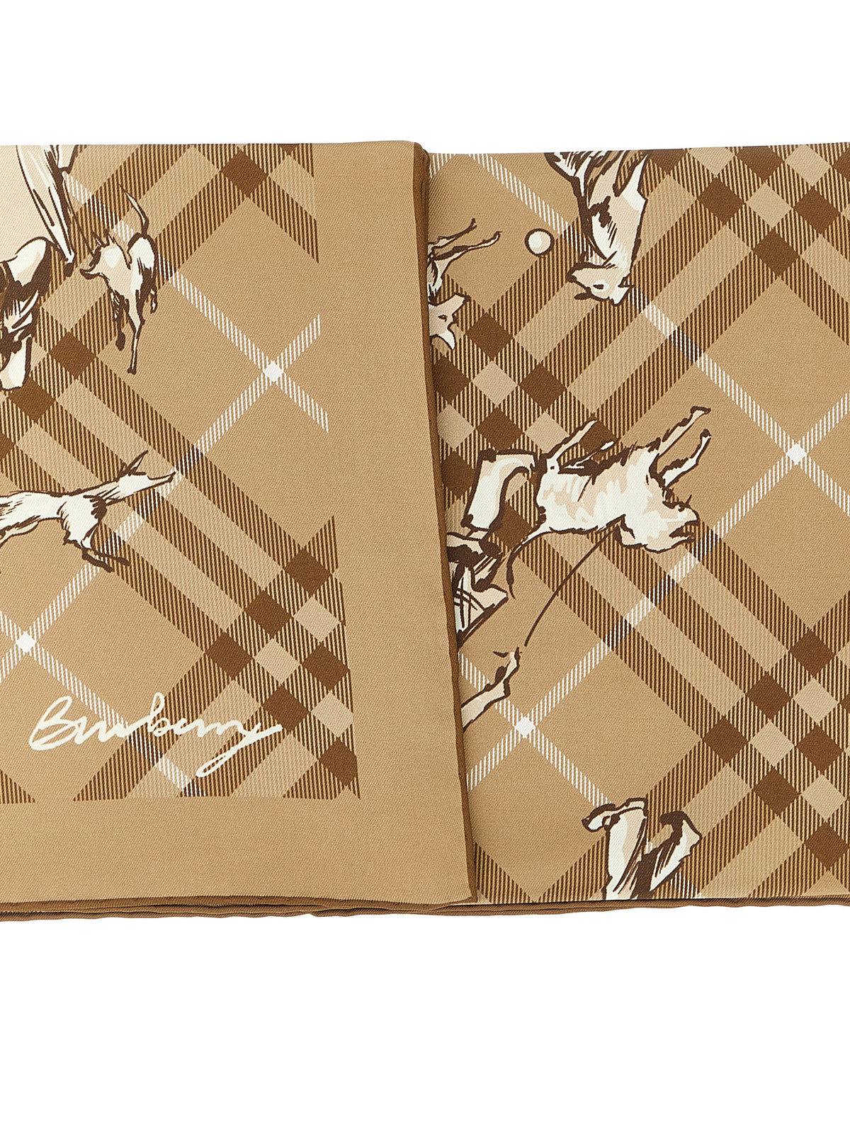 BURBERRY Burberry Women 'Check Mates' Scarf