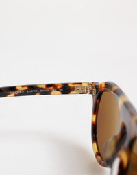 Dolce & Gabbana Dolce & Gabbana Brown Acetate Round Leopard Print Eyewear Women's Sunglasses
