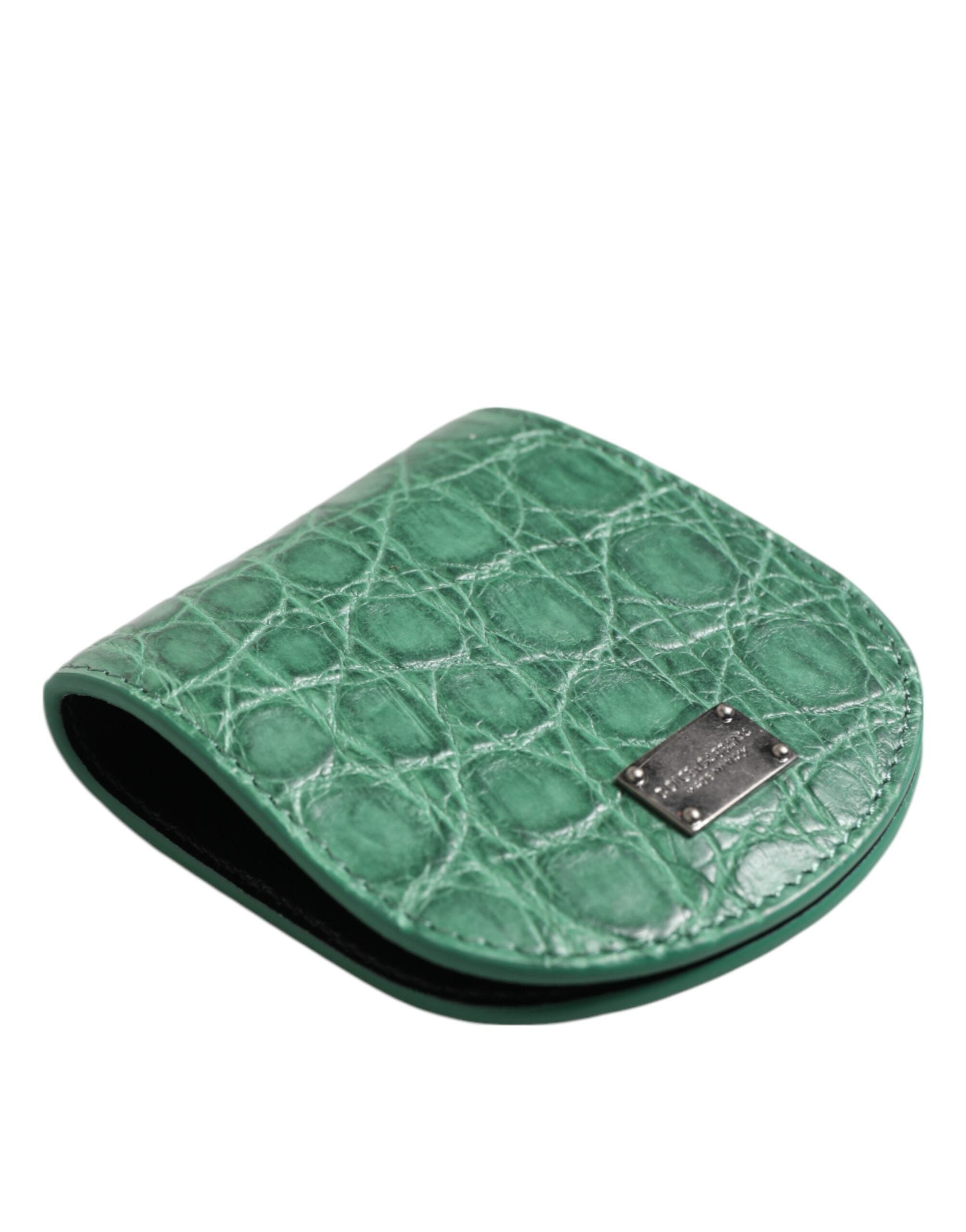 Dolce & Gabbana Dolce & Gabbana Green Exotic Skin Coin Condom Case Holder Pocket Men's Wallet