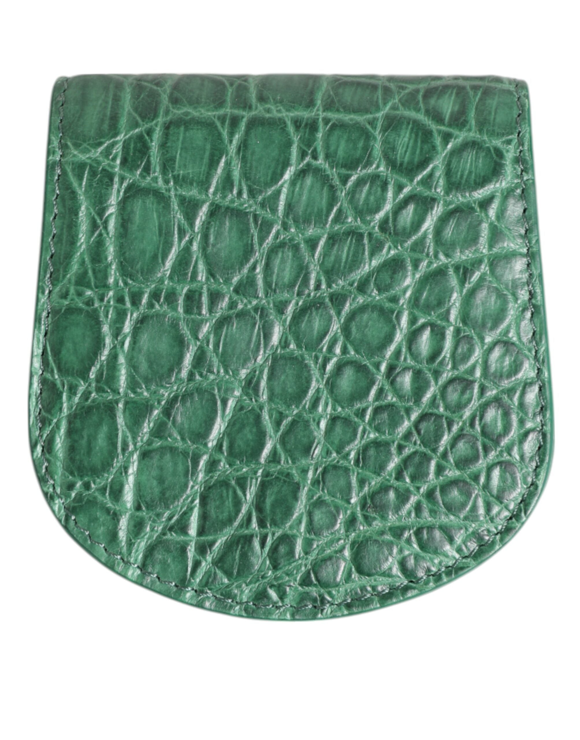 Dolce & Gabbana Dolce & Gabbana Green Exotic Skin Coin Condom Case Holder Pocket Men's Wallet