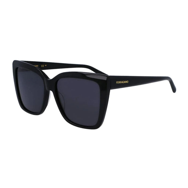 Salvatore Ferragamo ,  Frame and  Lens