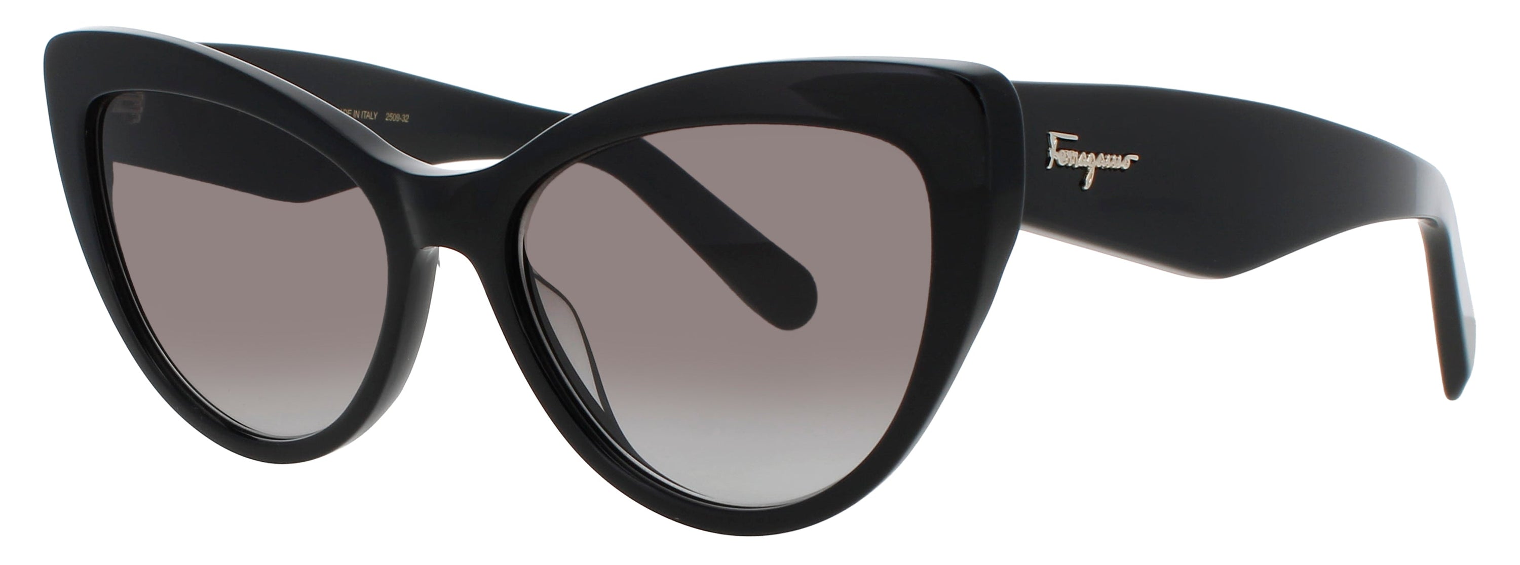 Salvatore Ferragamo Salvatore Ferragamo Sunglasses Black