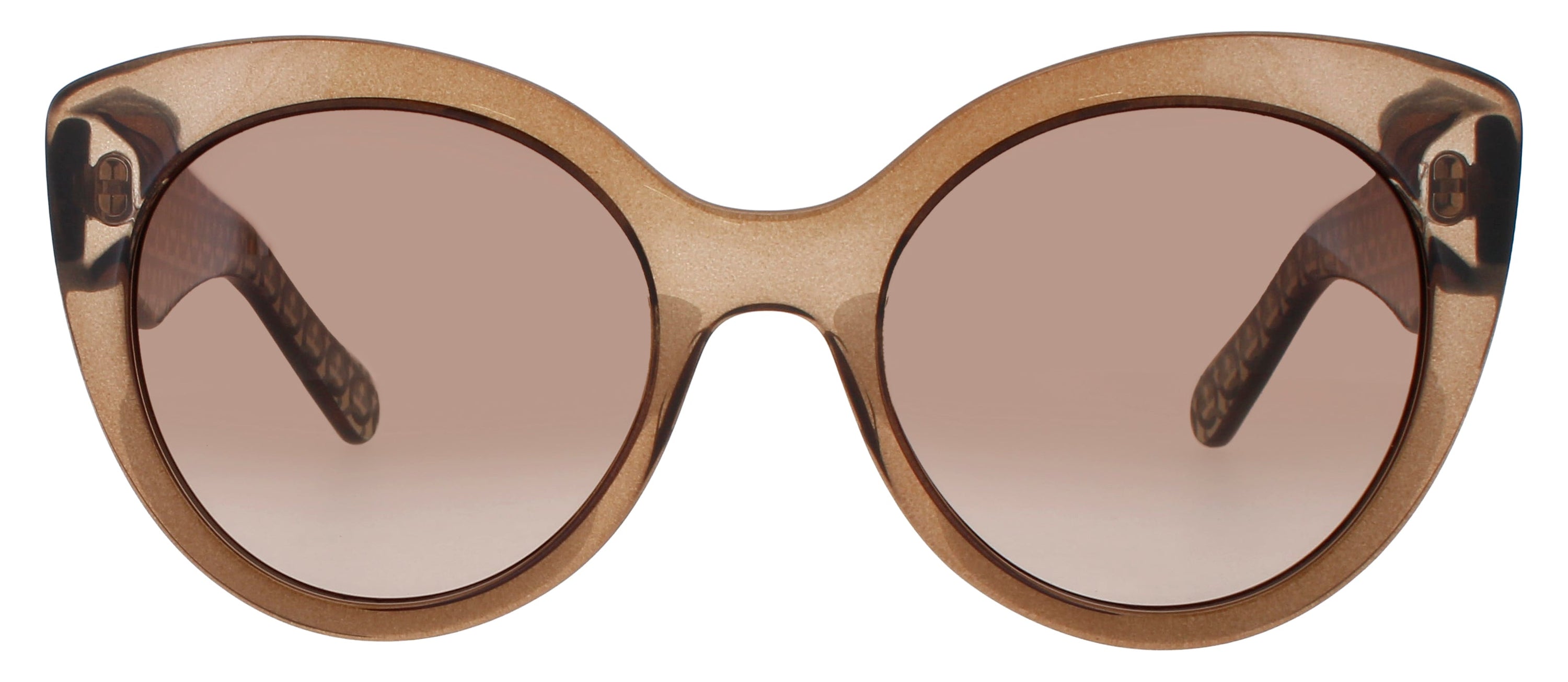 Salvatore Ferragamo Salvatore Ferragamo Sunglasses Brown