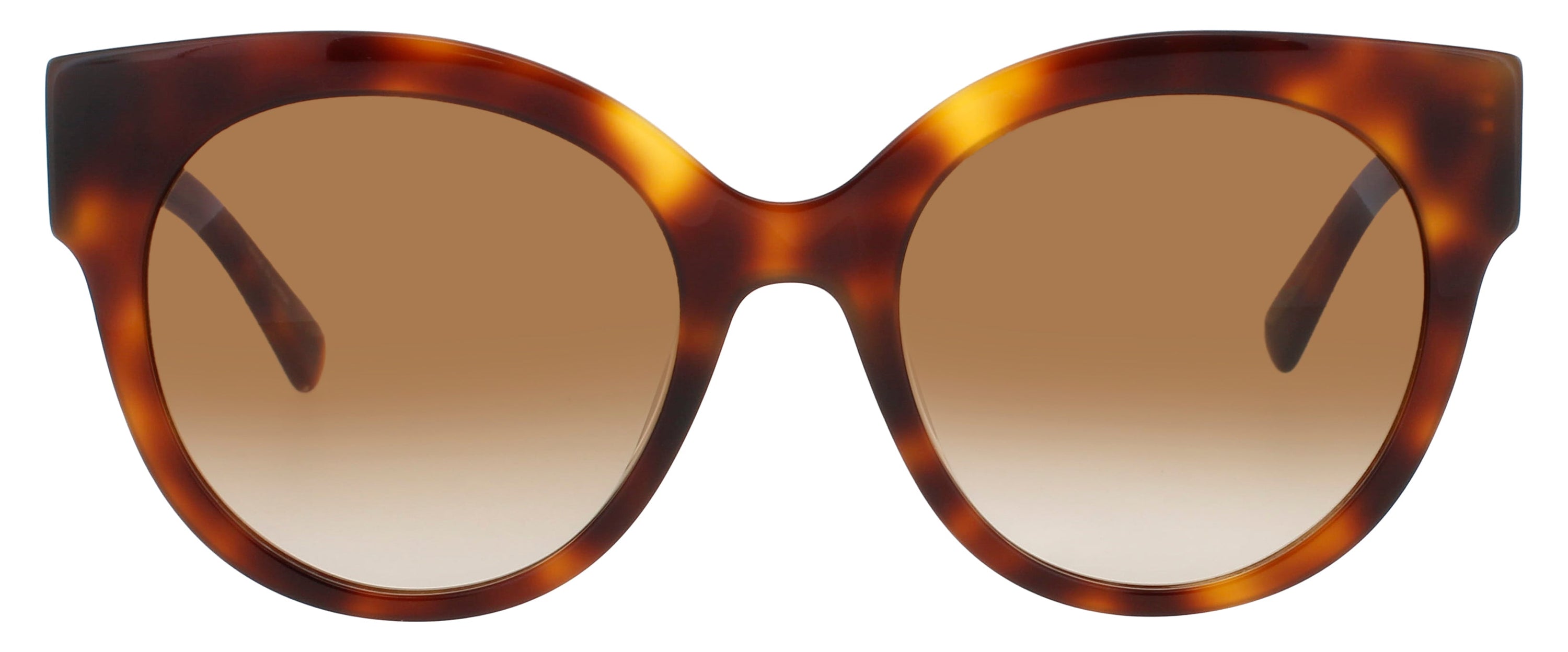 Longchamp Longchamp Sunglasses Brown
