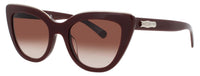 Longchamp Longchamp Sunglasses Brown