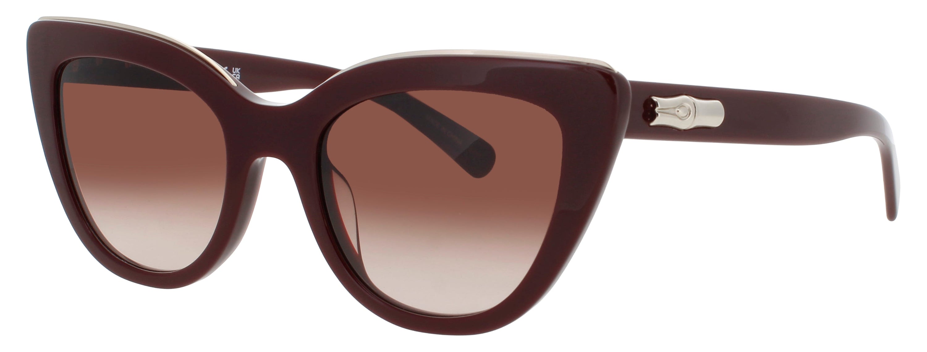 Longchamp Longchamp Sunglasses Brown