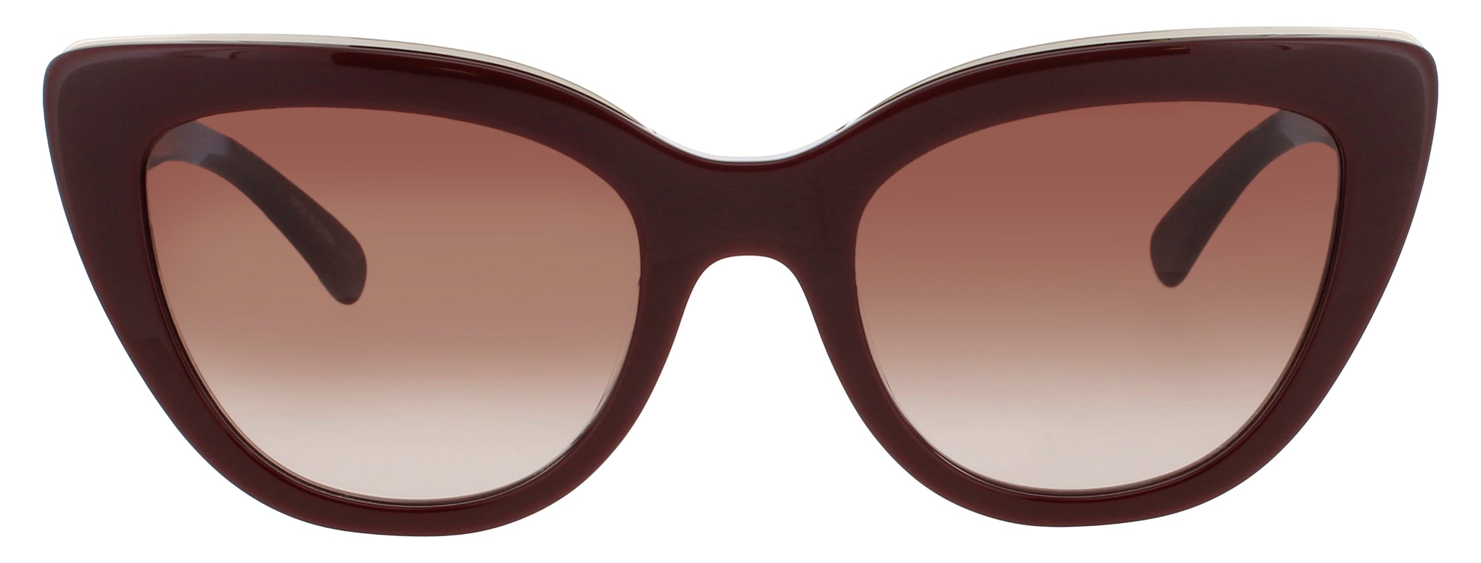 Longchamp Longchamp Sunglasses Brown