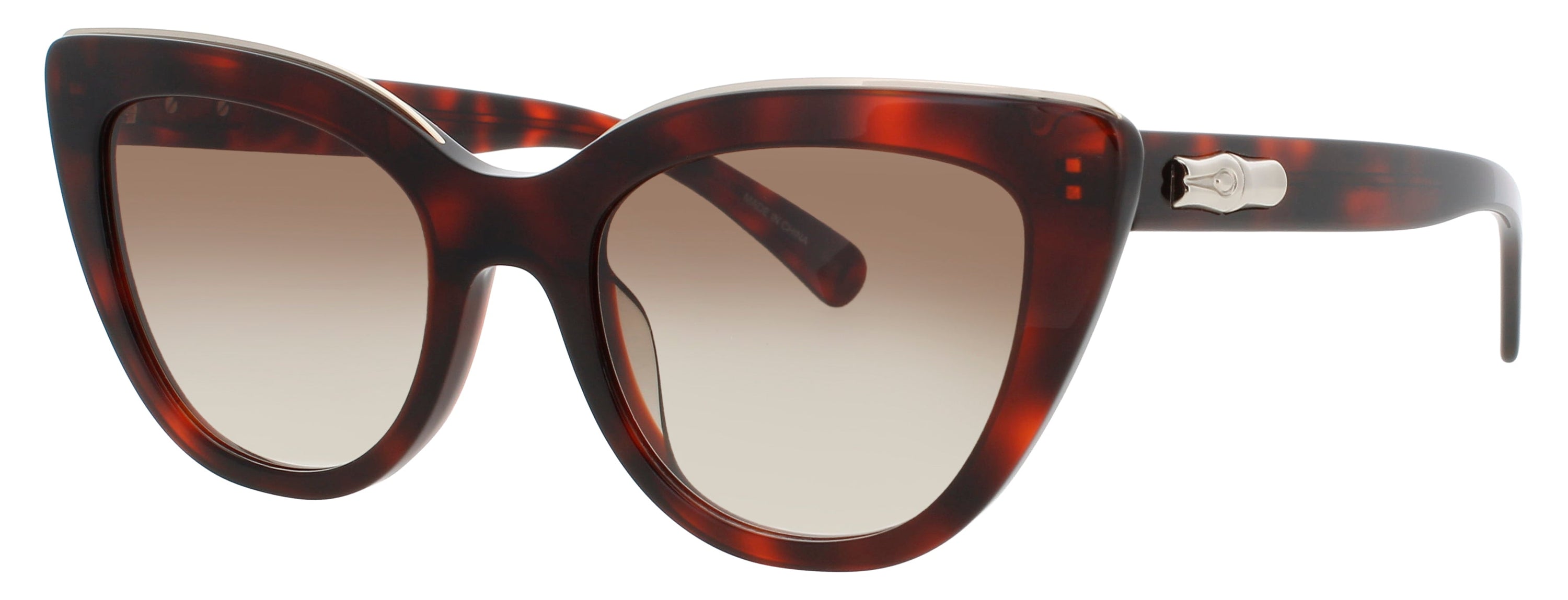Longchamp Longchamp Sunglasses Brown
