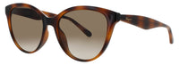 Salvatore Ferragamo Sunglasses Brown
