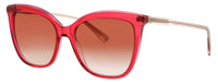 Longchamp Longchamp Sunglasses Brown