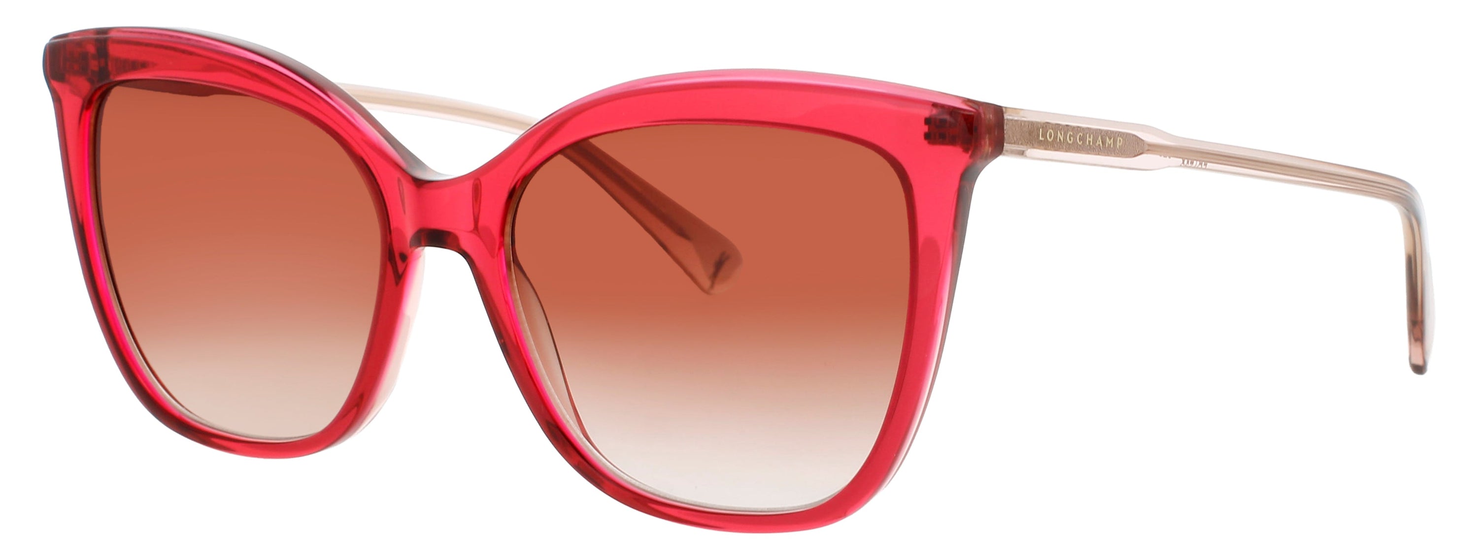 Longchamp Longchamp Sunglasses Brown