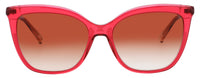 Longchamp Longchamp Sunglasses Brown