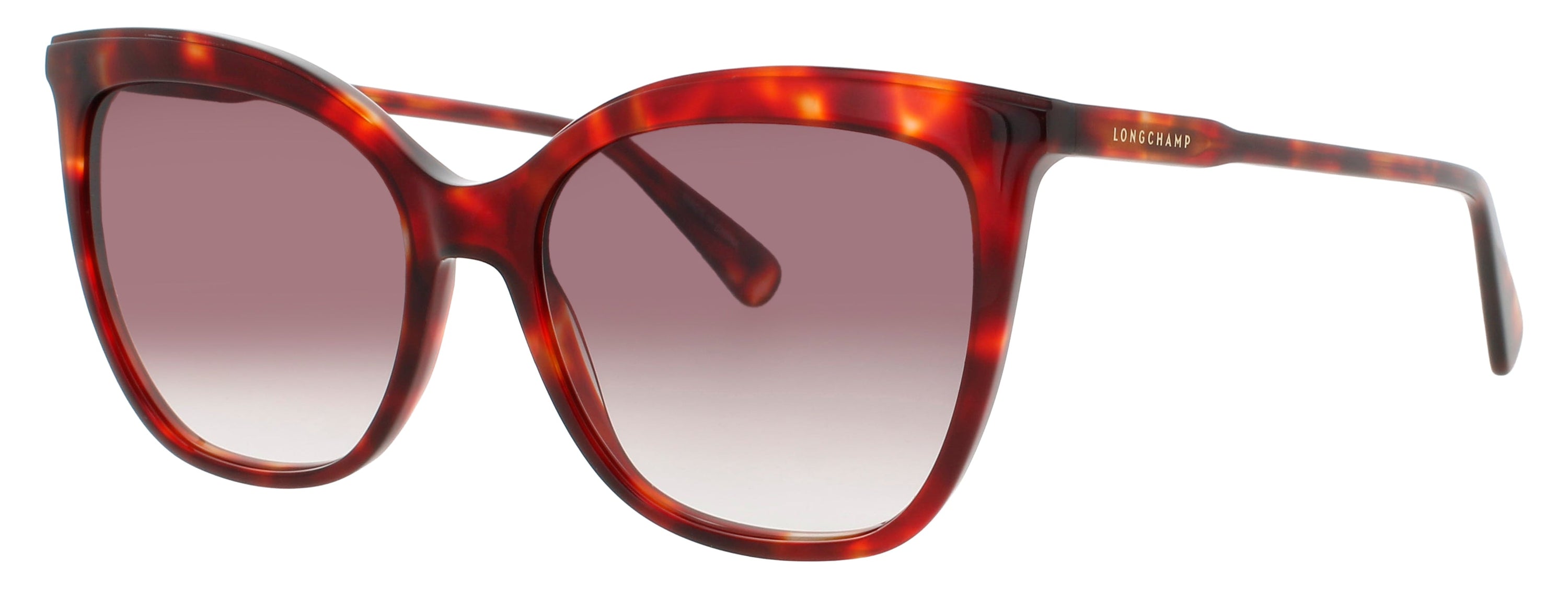 Longchamp Longchamp Sunglasses Gray