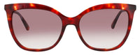 Longchamp Longchamp Sunglasses Gray