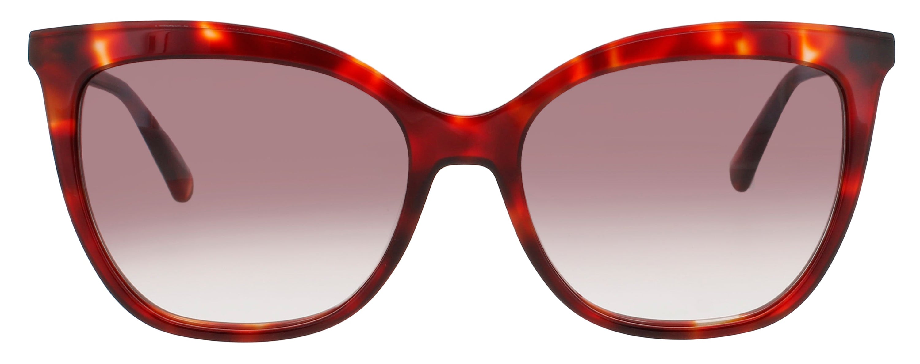 Longchamp Longchamp Sunglasses Gray