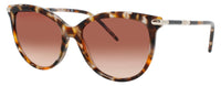 Longchamp Longchamp Sunglasses Brown