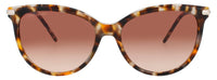 Longchamp Longchamp Sunglasses Brown