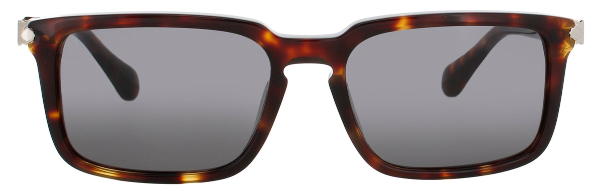 Salvatore Ferragamo Sunglasses Brown