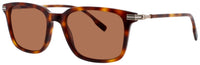 Lacoste Lacoste Sunglasses Brown