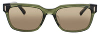 Salvatore Ferragamo Sunglasses Green