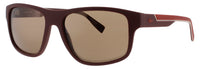 Lacoste Lacoste Sunglasses Green