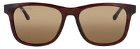 Lacoste Sunglasses Brown