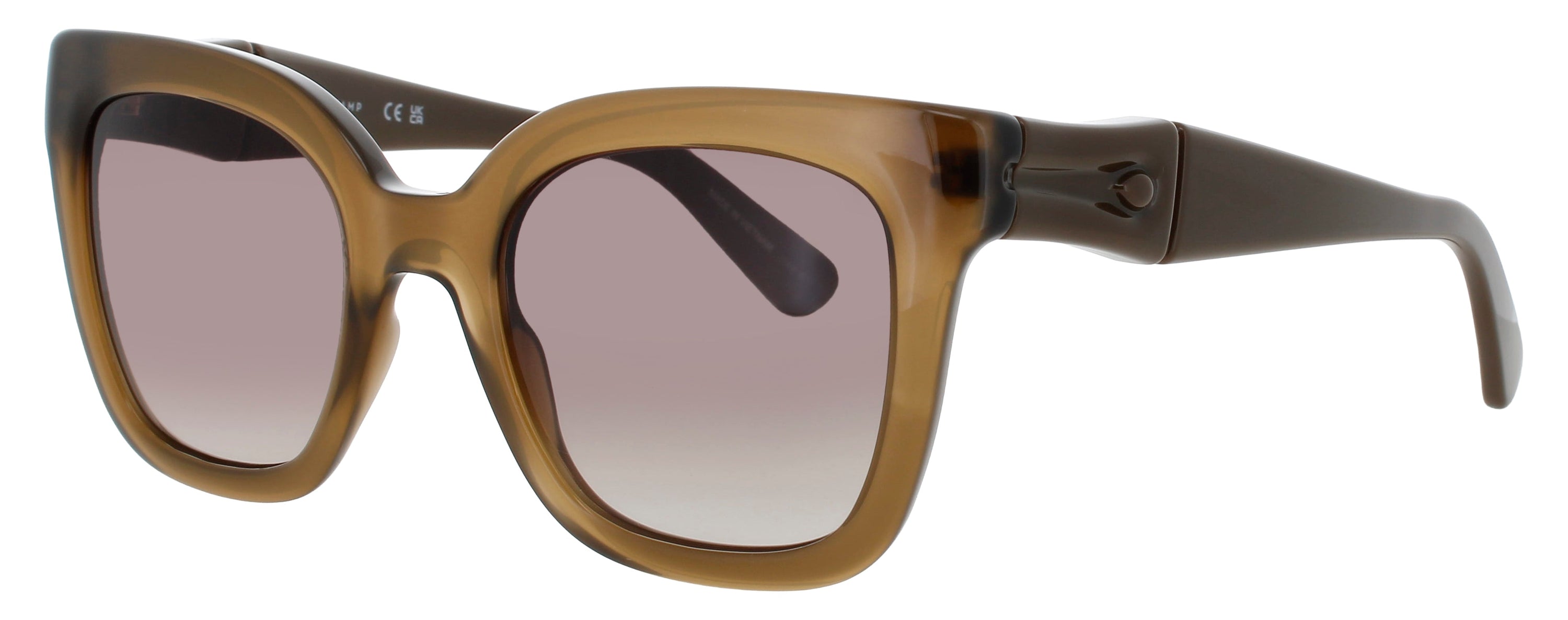 Longchamp Longchamp Sunglasses Brown