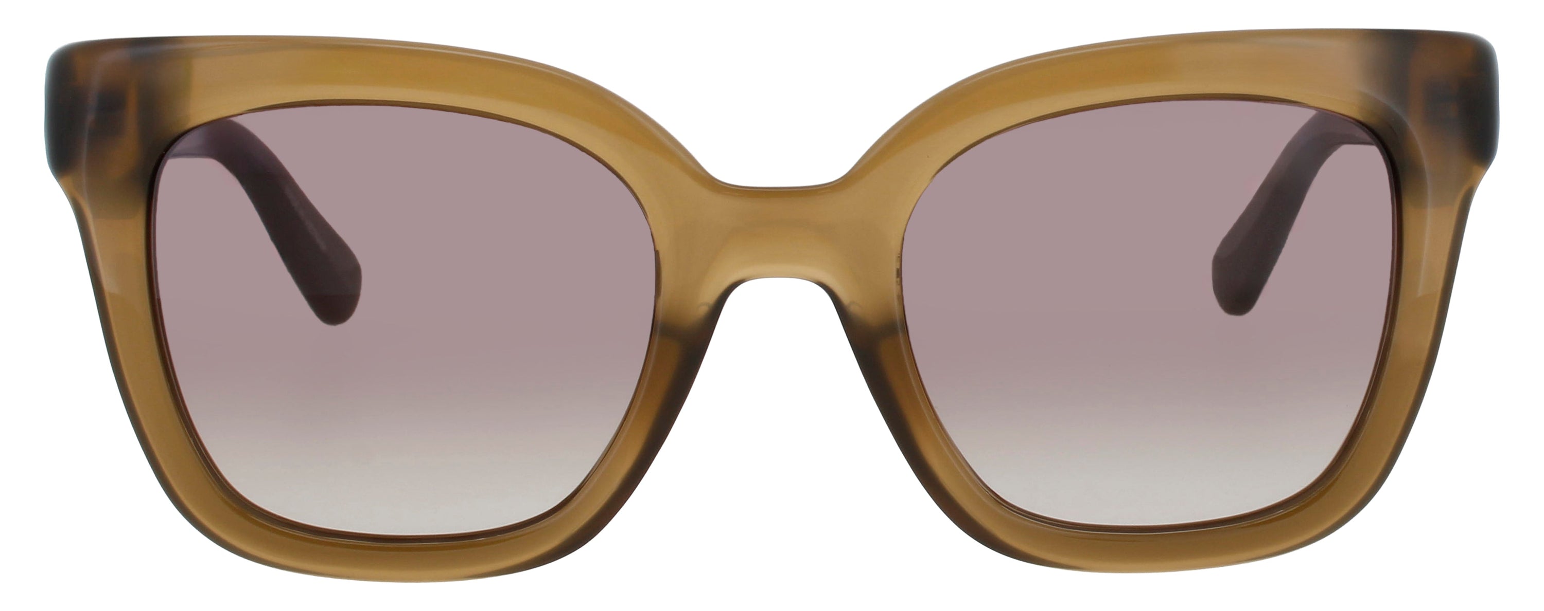 Longchamp Longchamp Sunglasses Brown