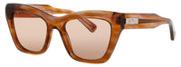 Longchamp Longchamp Sunglasses Brown