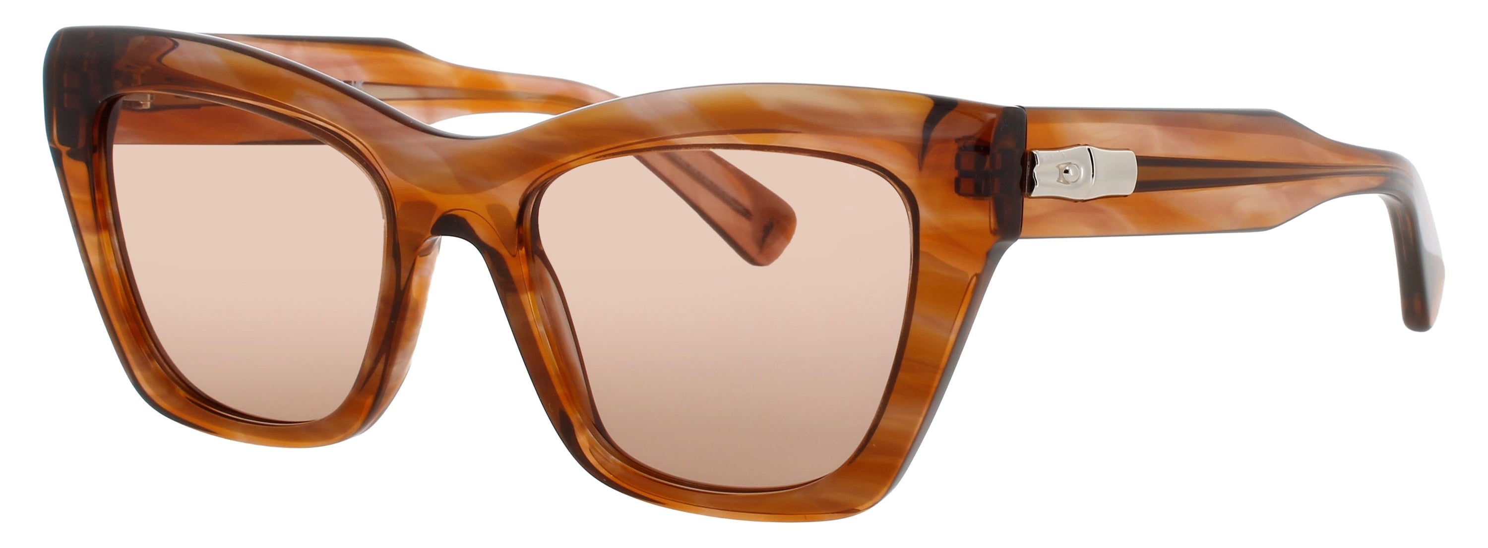 Longchamp Longchamp Sunglasses Brown