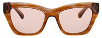Longchamp Longchamp Sunglasses Brown