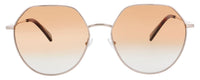 Longchamp Sunglasses Brown