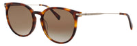 Longchamp Longchamp Sunglasses Gray