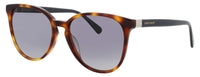 Longchamp Longchamp Sunglasses Blue