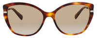 Longchamp Longchamp Sunglasses Brown